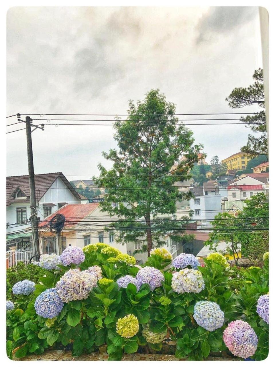 Вілла Biet Thu Trang Далат Екстер'єр фото